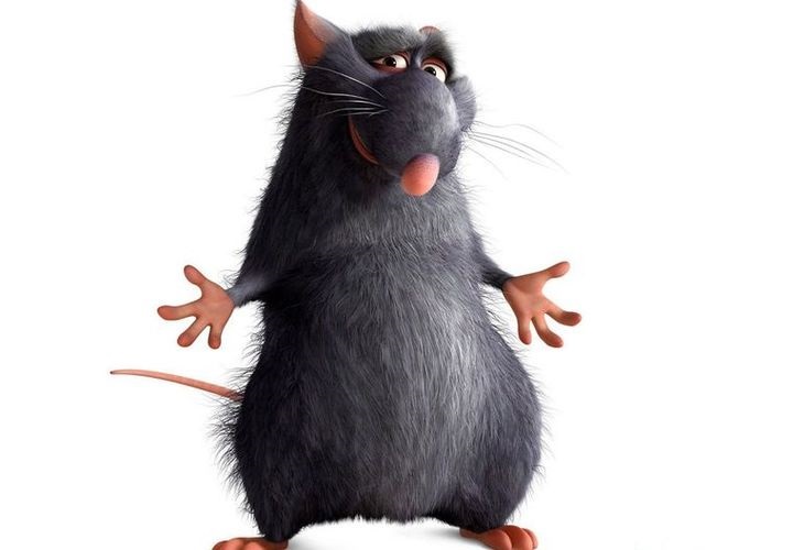 Patkány a rajzfilmből