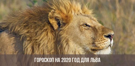 Horoskop for 2020 for Leo