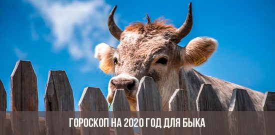 ดูดวงปี 2020 สำหรับวัว