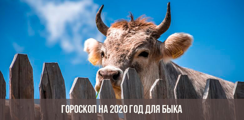 Horoscope 2020 pour le taureau