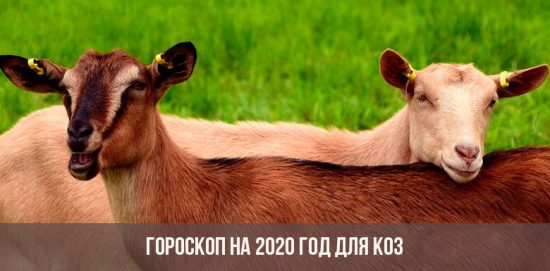 Horoscope for 2020 for goats