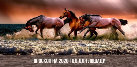 Horoskop pro rok 2020 pro koně