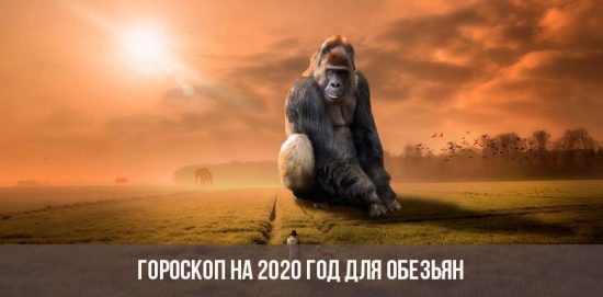 Horóscopo para 2020 para los monos