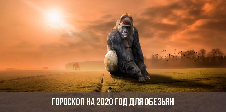 Horoscope 2020 pour les singes