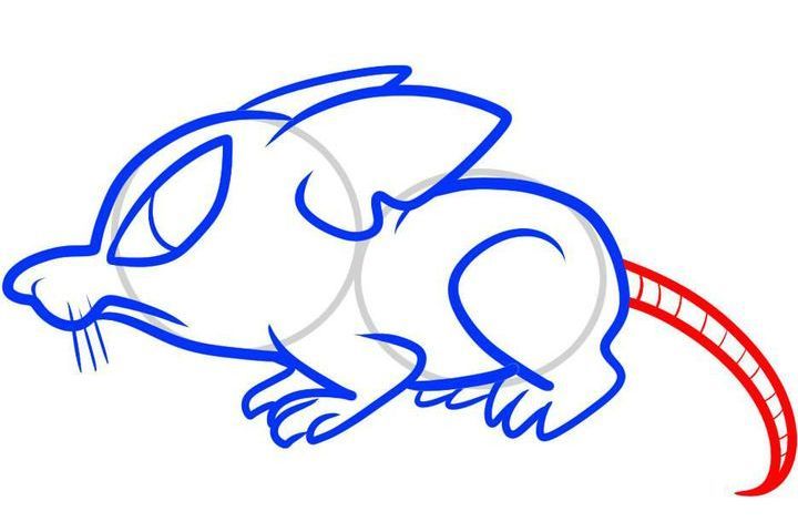 Com dibuixar una rata pas a pas