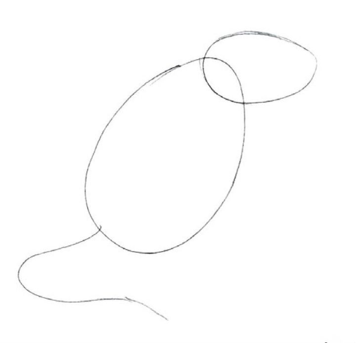 Cum să desenezi un șobolan cu un creion