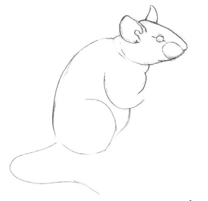 Hoe teken je een rat met een potlood