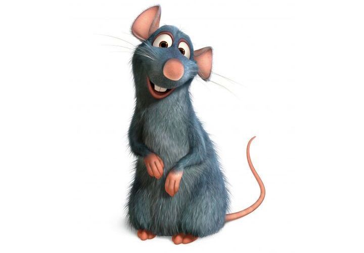 Cách vẽ chuột cho năm mới 2020  vẽ một con chuột xám