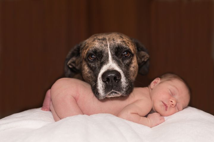 Criança e cachorro