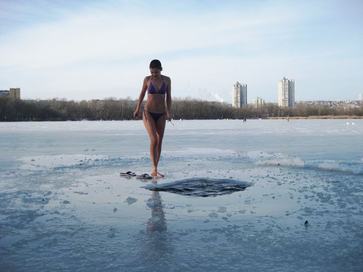 Mergina ant ledo