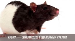 Hur man gör råtta till symbolen för 2020 med dina egna händer