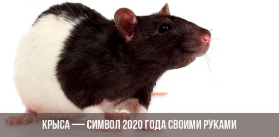 Wie man die Ratte mit eigenen Händen zum Symbol des Jahres 2020 macht