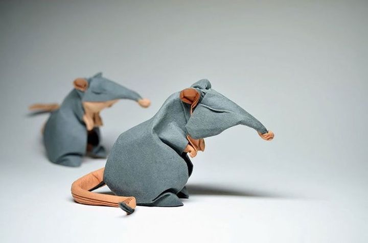 כיצד להכין עכברוש אוריגמי ממודולים