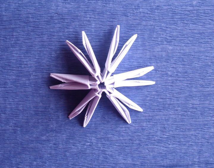 Hoe origami Rat te maken van modules