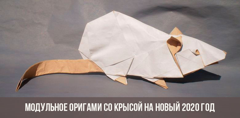 Modulinis origami su žiurke 2020 metams