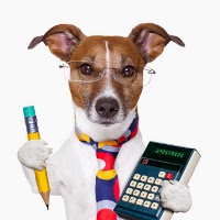chien avec calculatrice