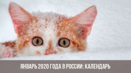 Janvier 2020 en Russie: calendrier, jours fériés, week-ends
