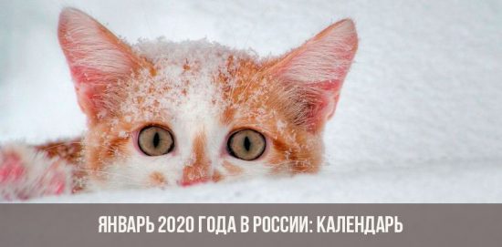2020 m. Sausis Rusijoje: kalendorius, atostogos, savaitgaliai