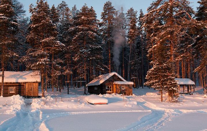 Chalet in the forest