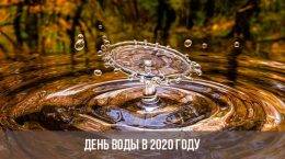 Journée de l'eau 2020