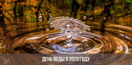 Día del agua 2020
