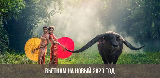 Vietnam pour la nouvelle année 2020