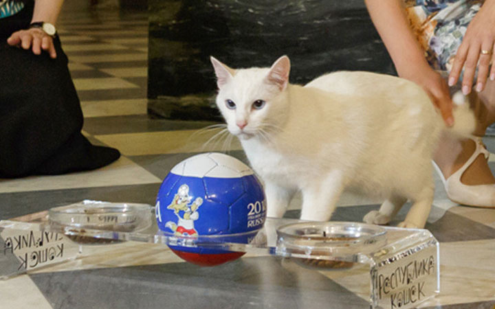 Hermitage Cat Day 2020 - historia, perinteet, päivämäärä