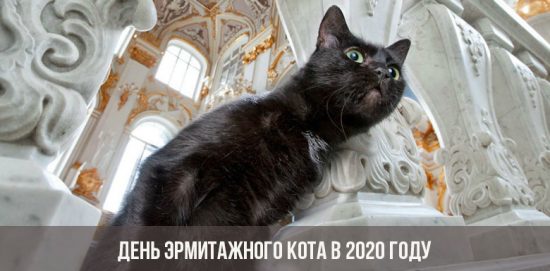 A Hermitage macska napja 2020-ban