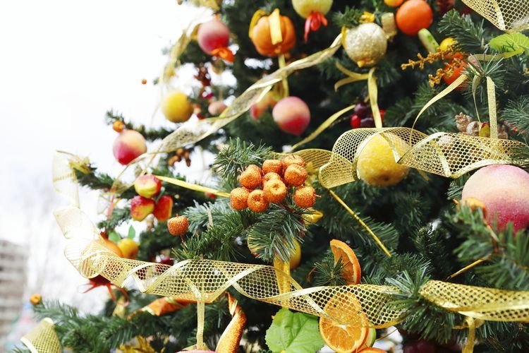 Sådan dekoreres et juletræ til det nye år