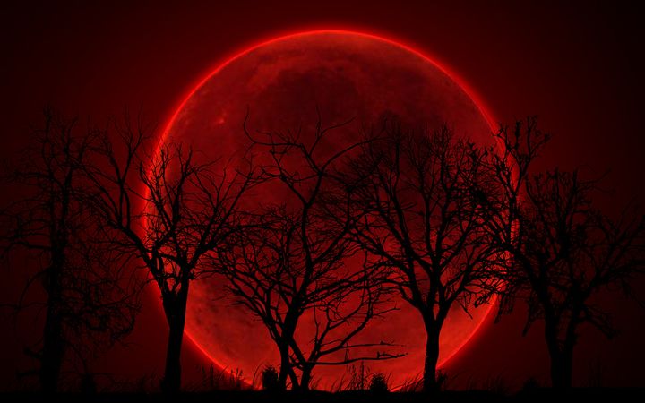 Krwawy księżyc