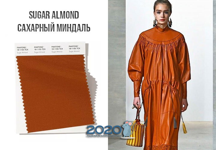 Sugar Almond (No. 18-1155) hösten-vintern 2019-2020