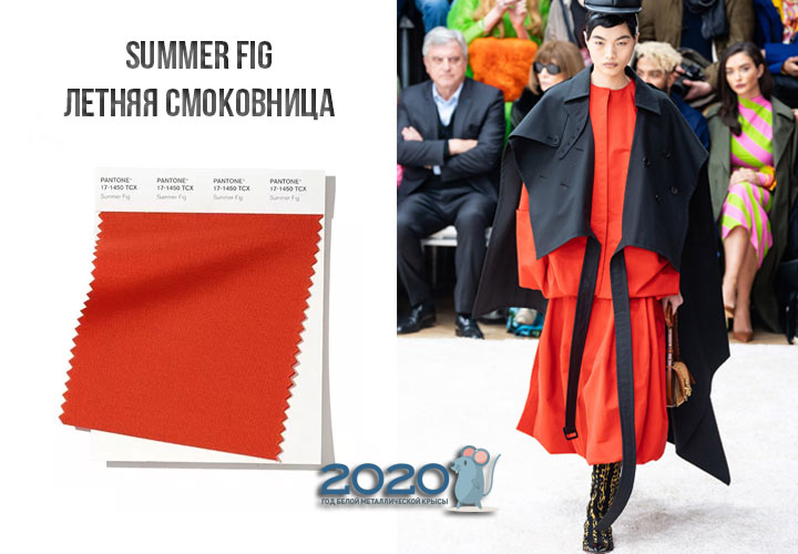 Summer Fig (č. 17-1450) barva Panton zima 2019-2020