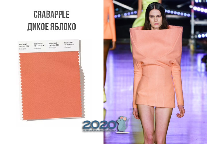 Crabapple (αριθ. 16-1532) χρώμα Panton χειμώνα 2019-2020