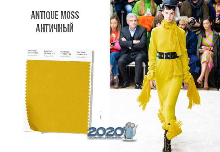 Antique Moss (č. 16-0840) barva Panton zima 2019-2020