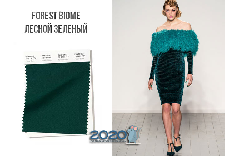 Forest Biome (n ° 19-5230) couleur Panton hiver 2019-2020