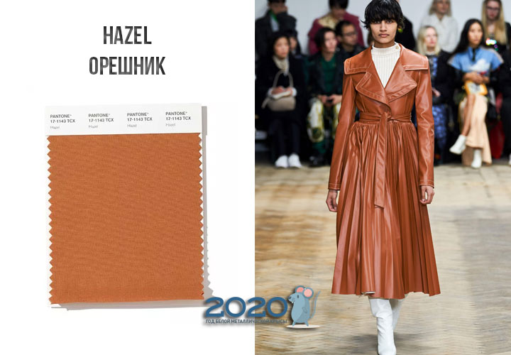 Hazel (No. 17-1143) color Panton winter 2019-2020