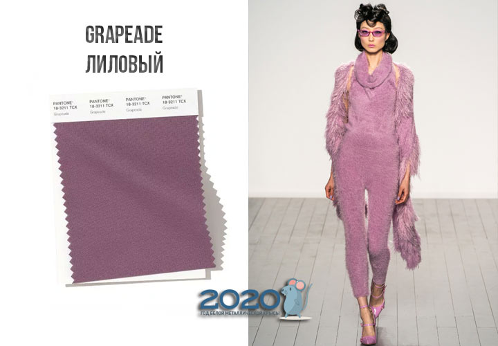 Grapeade (หมายเลข 18-3211) color Panton ฤดูหนาวปี 2019-2020