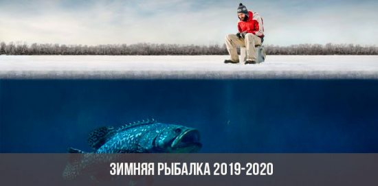 Pêche d'hiver 2019-2020