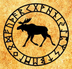 Alce - totem dell'oroscopo slavo