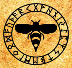 Wasp - totem från slaviska horoskopet