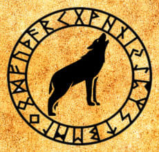 Varg - totem från slaviska horoskopet