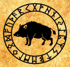 Šernas - slavų horoskopo totemas