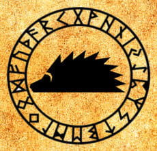 Ežiukas - slavų horoskopo totemas