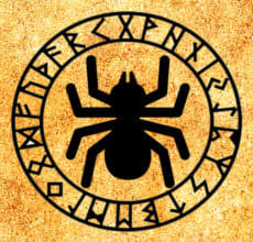 Spider - totem dari horoskop Slavia