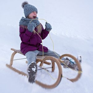 Sled - a gift for the girl for the New Year 2020