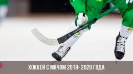 Míčový hokej v letech 2019-2020