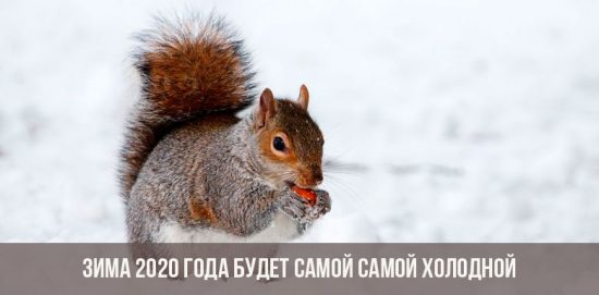 Zima 2019-2020