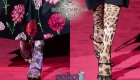 Värilliset sukkahousut Dolce Gabbanna syksy-talvi 2019-2020