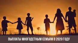 Assistência a famílias numerosas em 2020