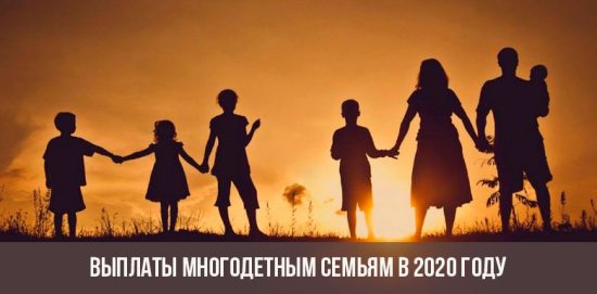 2020'de geniş ailelere yardım